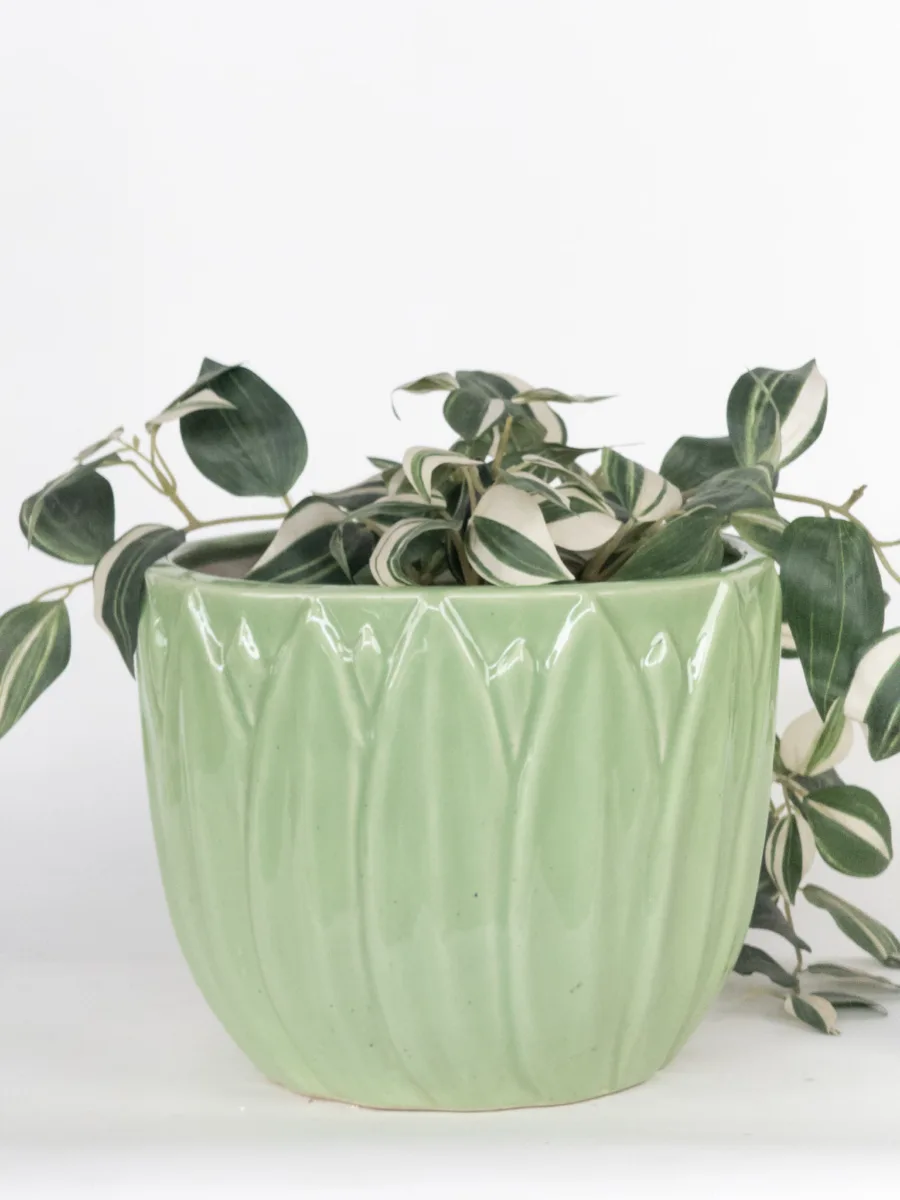 Classic Ceramic Planter — 9" Dia × 5" Height — Primary View