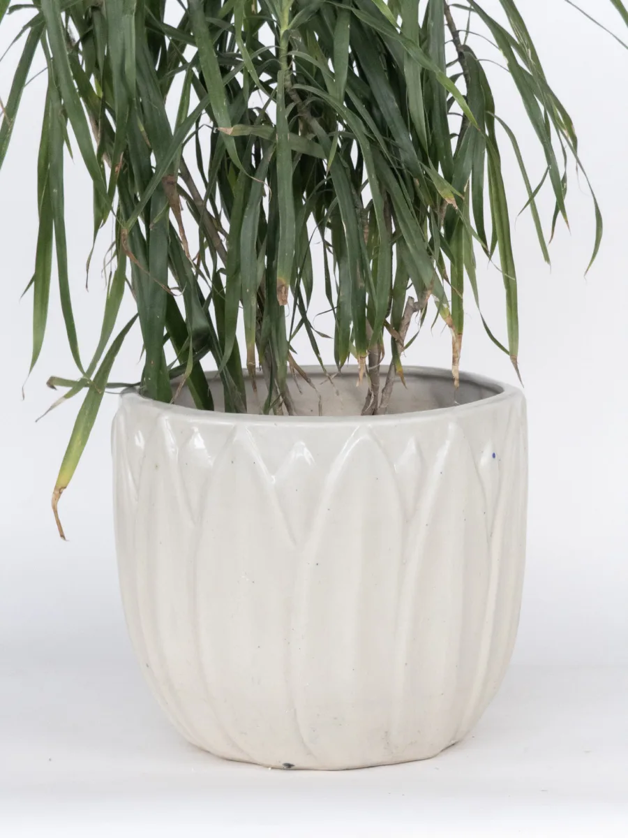Classic Ceramic Planter — 9" Dia × 10" Height — Primary View