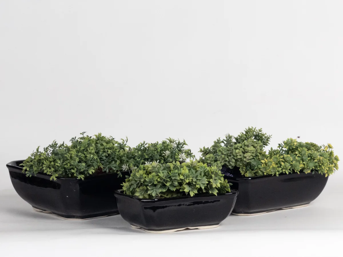 Classic Ceramic Planter — 9" Dia × 9" Height — Primary View