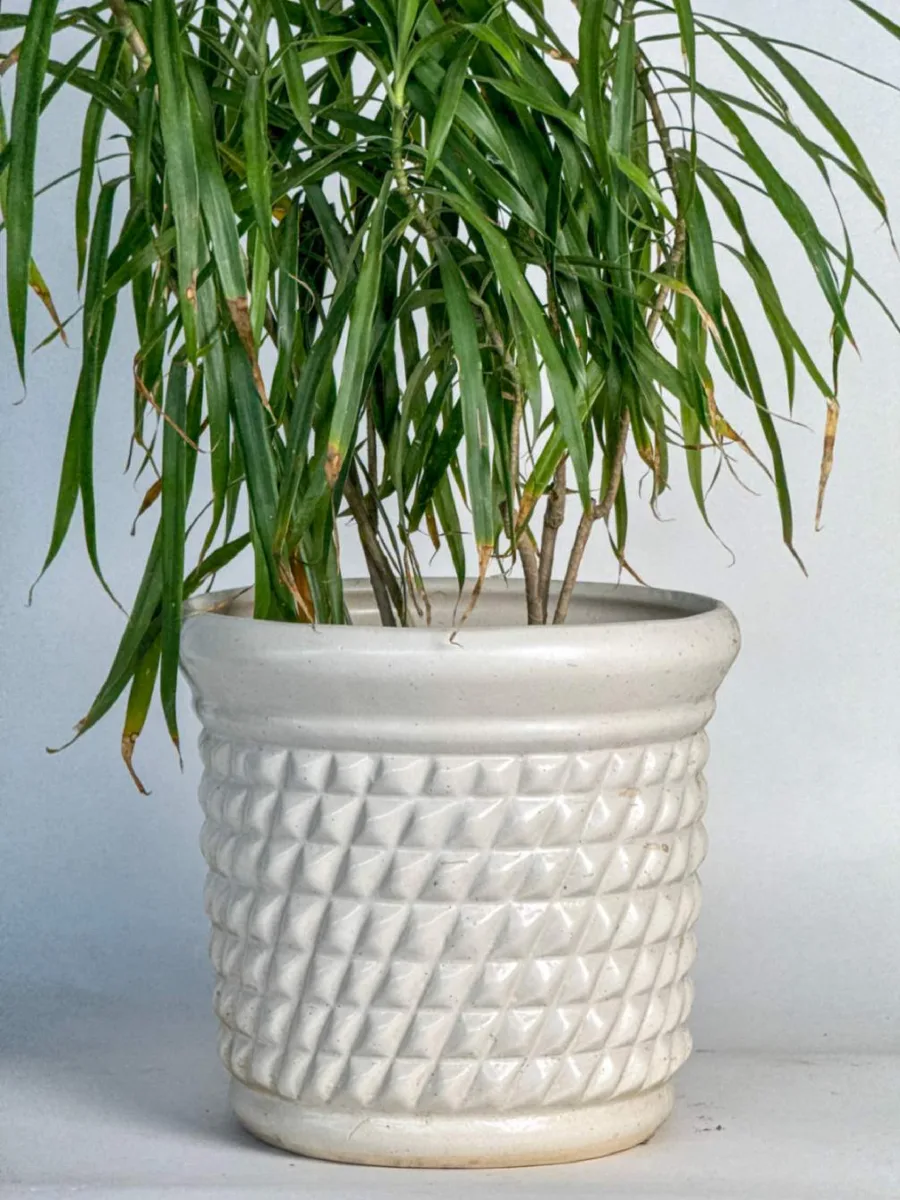 Classic Ceramic Planter — 10" Dia × 9" Height — Primary View