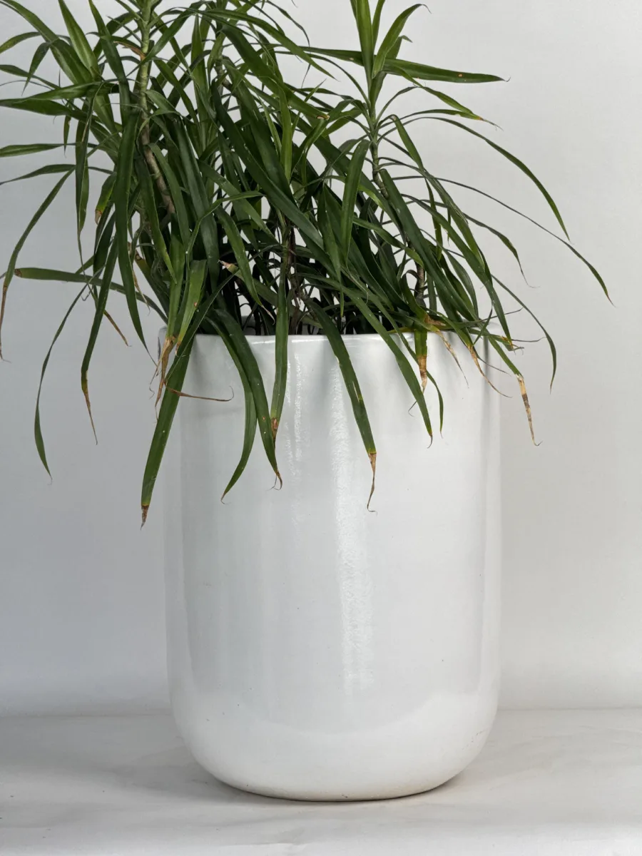 Classic Ceramic Planter — 7" Dia × 13" Height — Primary View