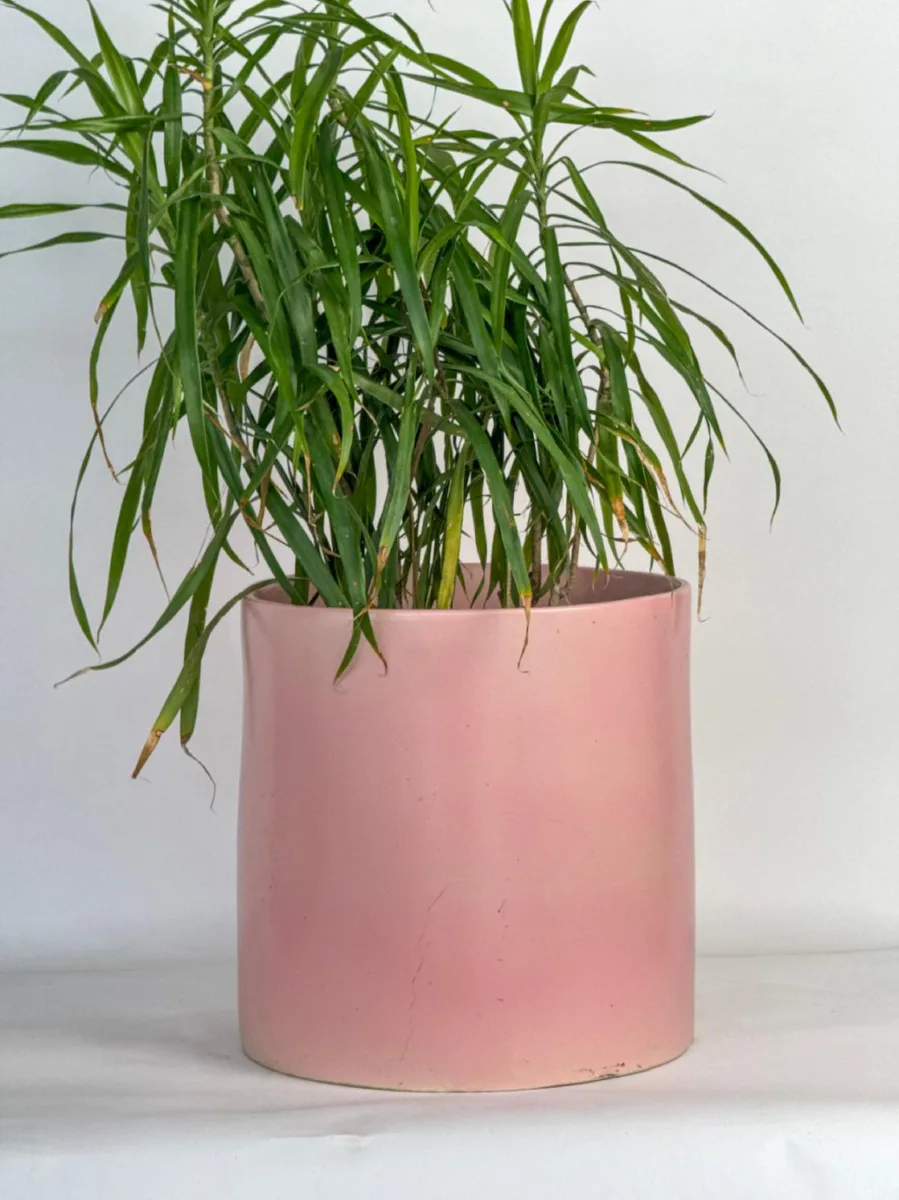 Classic Ceramic Planter — 7" Dia × 13" Height — Primary View