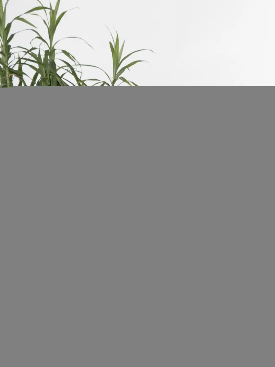 Classic Ceramic Planter — 7" Dia × 13" Height — Primary View