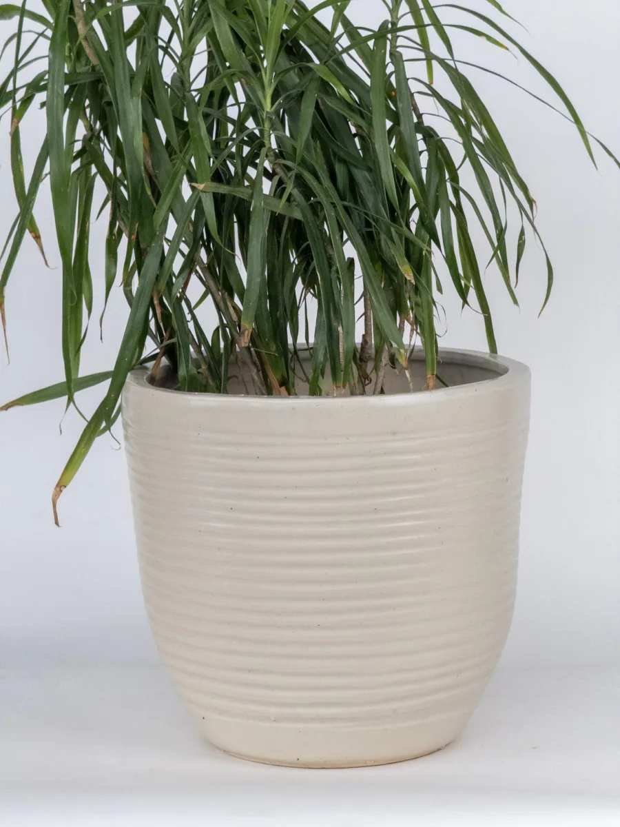 Classic Ceramic Planter — 8" Dia × 12.5" Height — Primary View