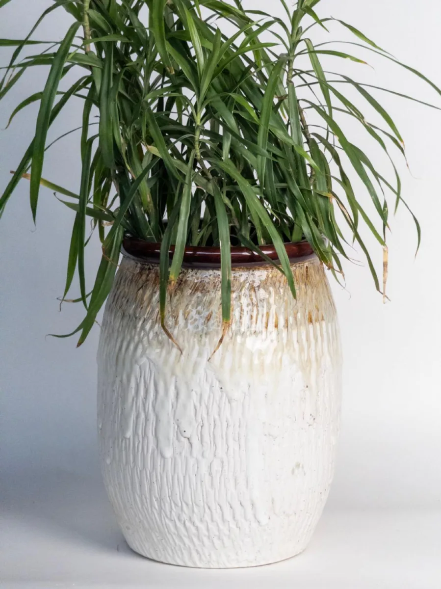 Classic Ceramic Planter — 10" Dia × 9" Height — Primary View