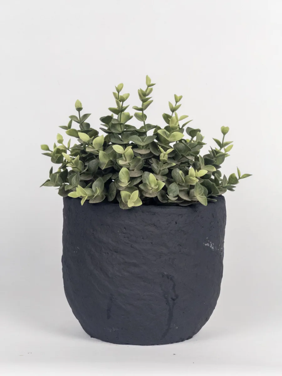 Classic Ceramic Planter — 5" Dia × 7.5" Height — Primary View