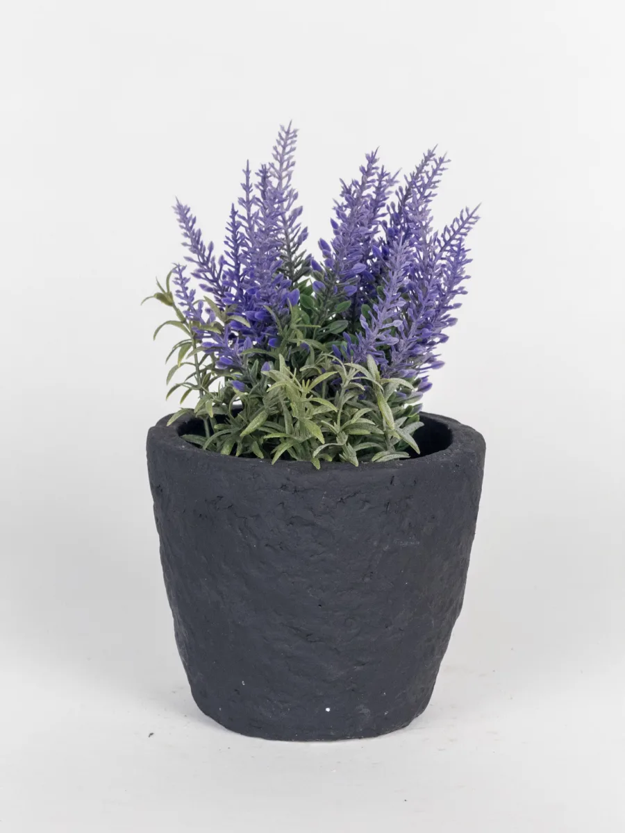 Classic Ceramic Planter — 6" Dia × 5.5" Height — Primary View