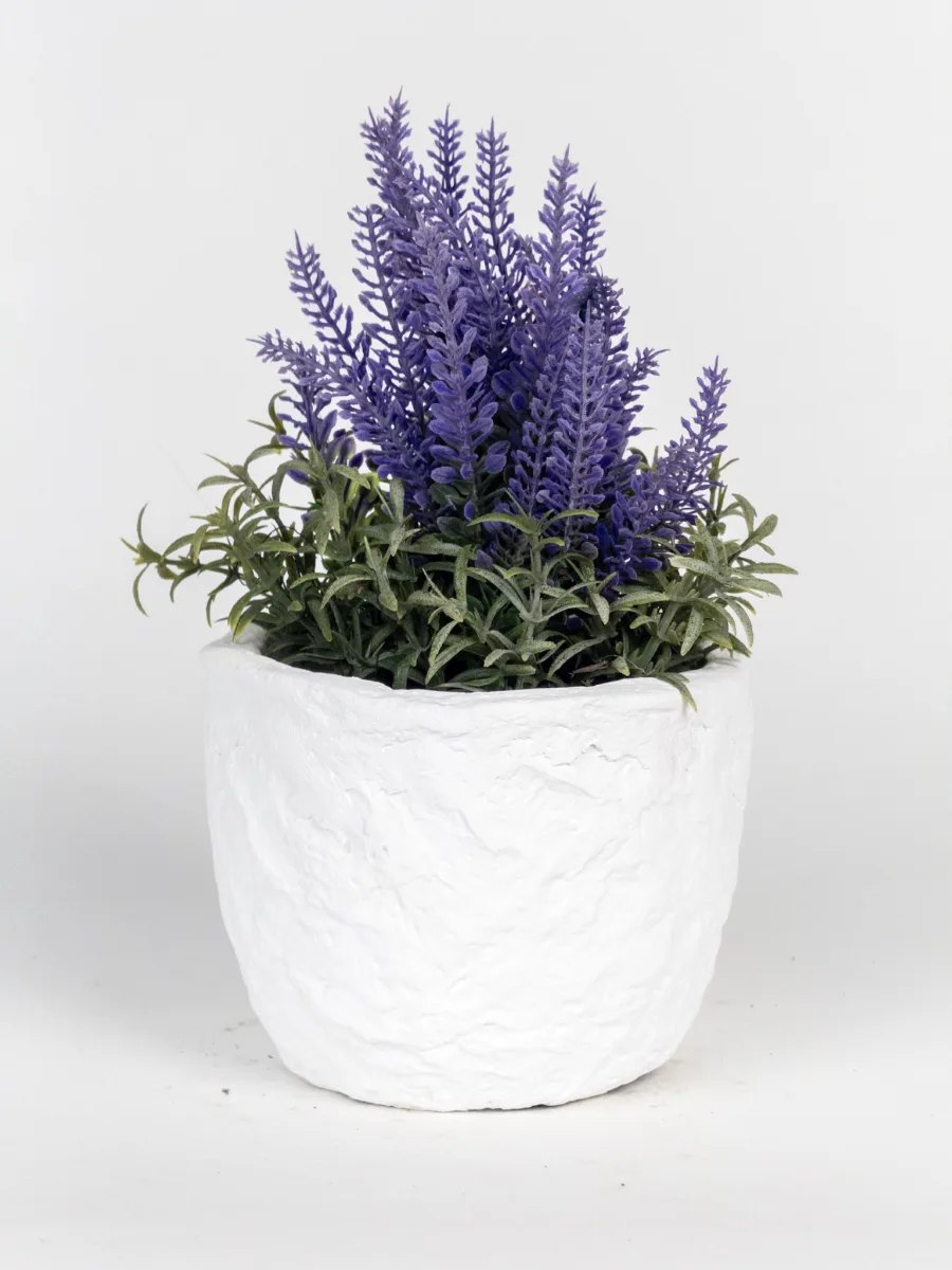 Classic Ceramic Planter — 5" Dia × 8" Height — Primary View