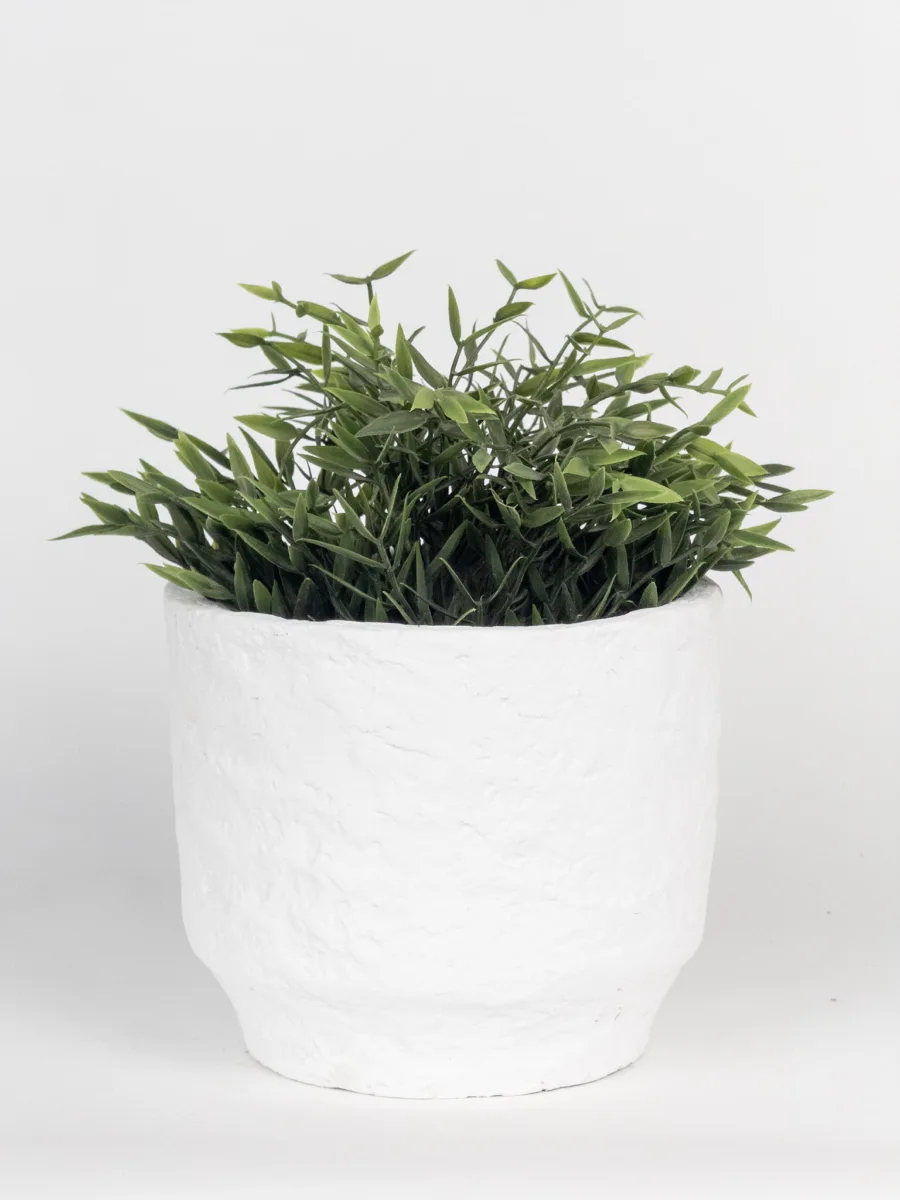 Classic Ceramic Planter — 5" Dia × 4" Height — Primary View