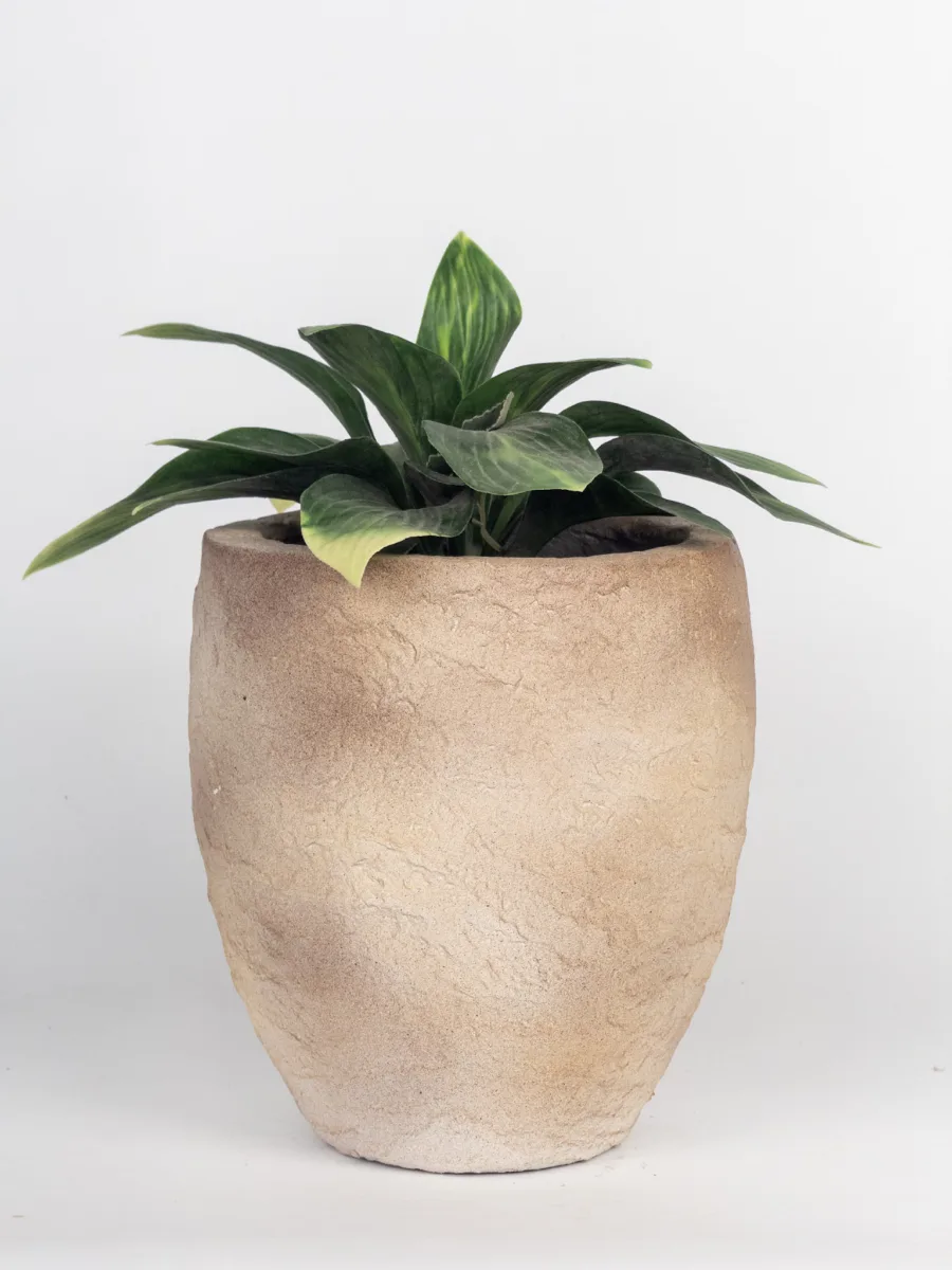 Classic Ceramic Planter — 7" Dia × 6.5" Height — Primary View