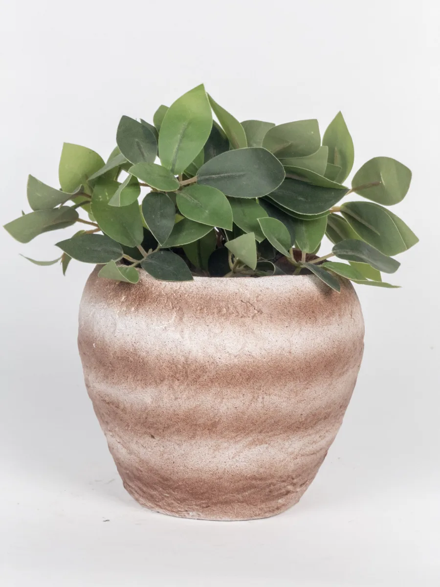 Classic Ceramic Planter — 5" Dia × 4" Height — Primary View