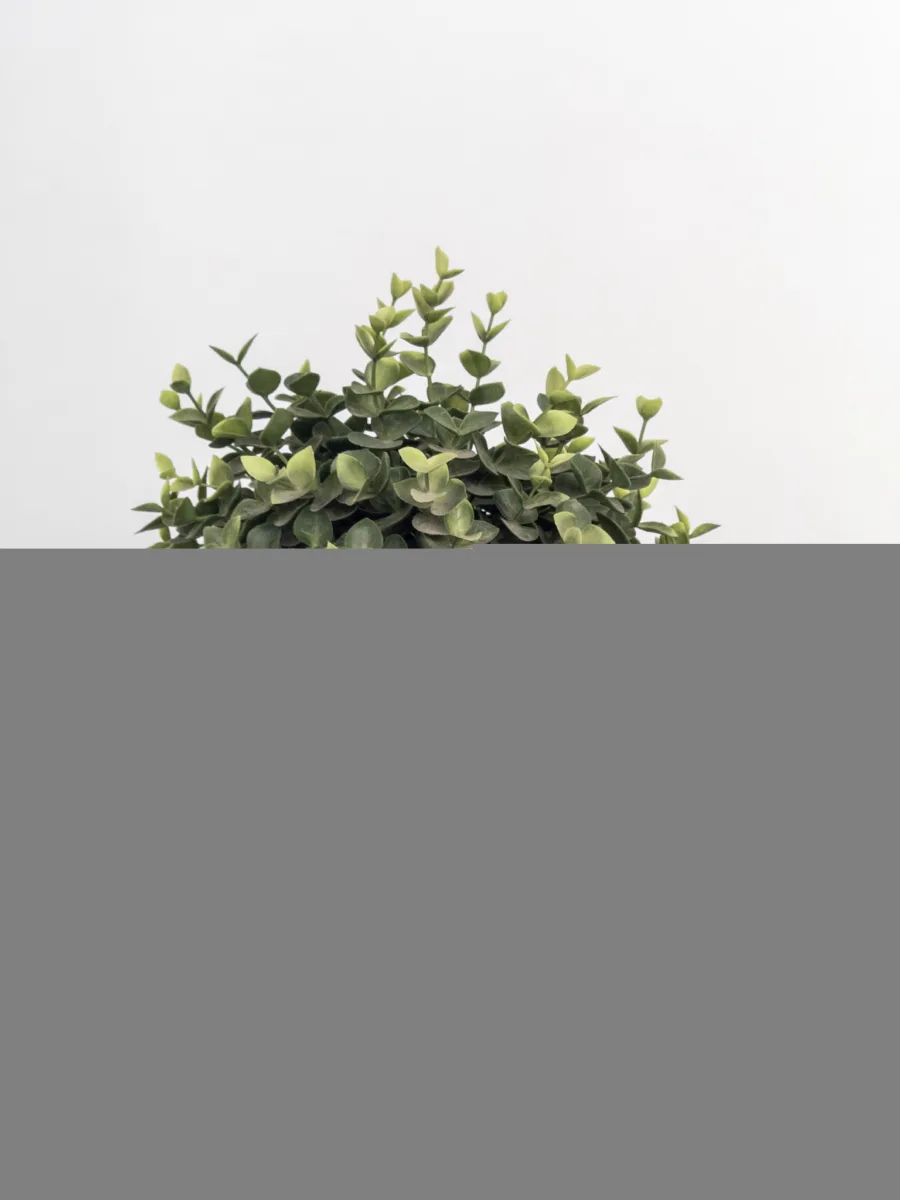 Classic Ceramic Planter — 7" Dia × 6.5" Height — Primary View