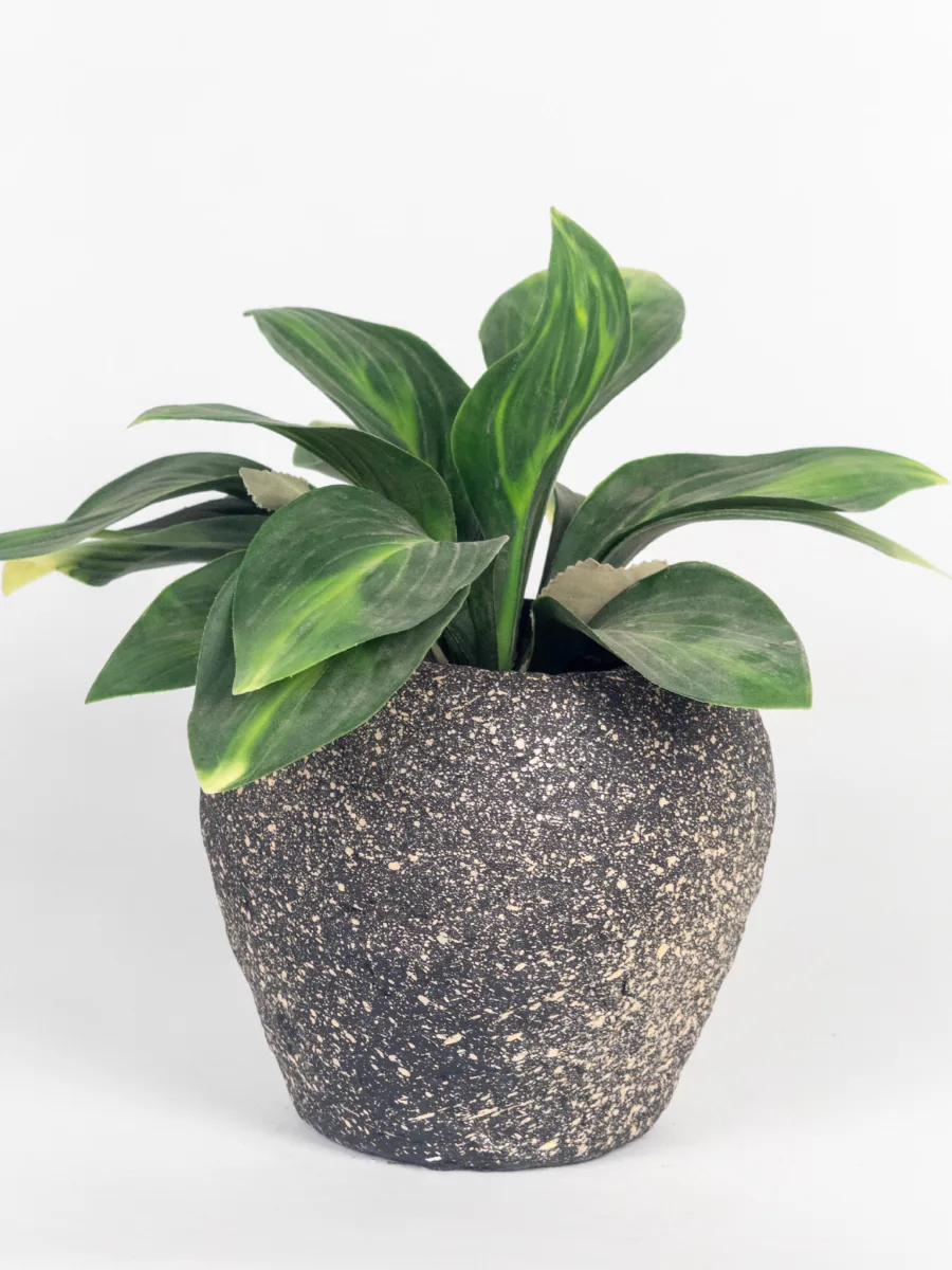 Classic Ceramic Planter — 5" Dia × 4" Height — Primary View