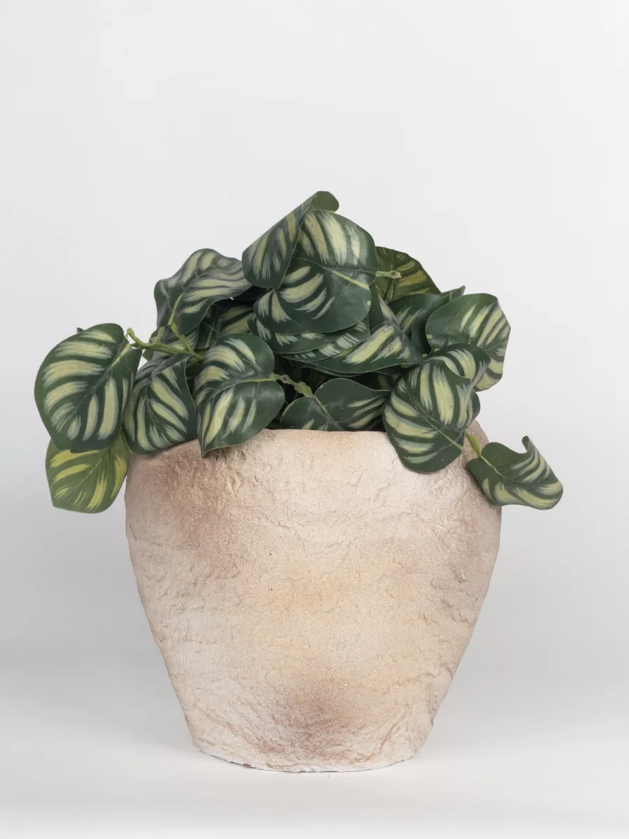 Classic Ceramic Planter — 7" Dia × 6.5" Height — Primary View