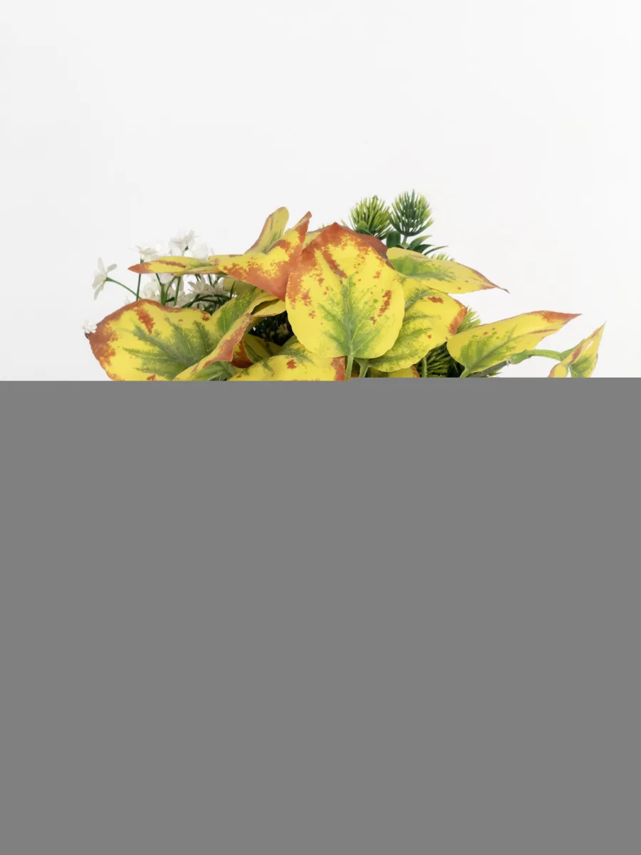 Classic Ceramic Planter — 8" Dia × 9" Height — Primary View