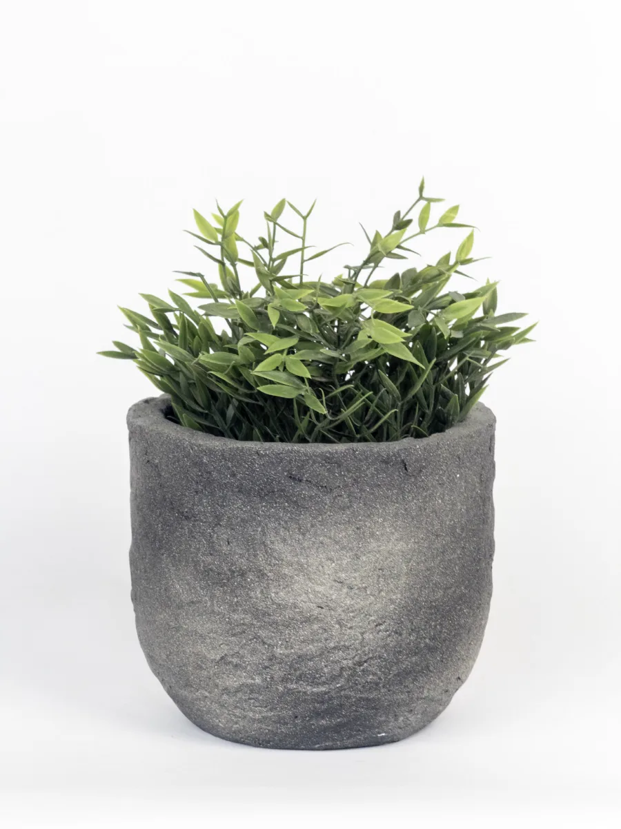 Classic Ceramic Planter — 6" Dia × 5.5" Height — Primary View
