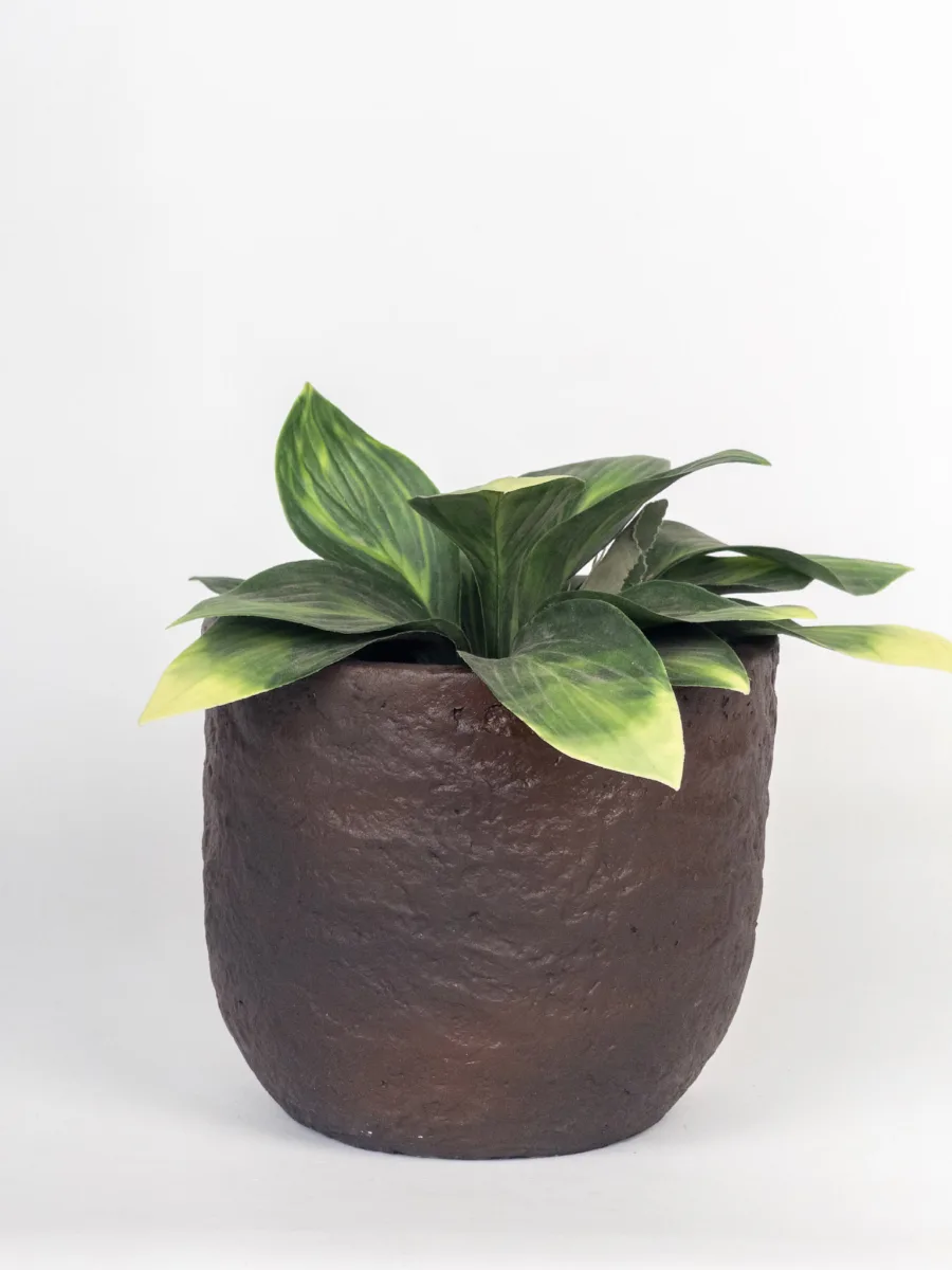 Classic Ceramic Planter — 7" Dia × 7" Height — Primary View