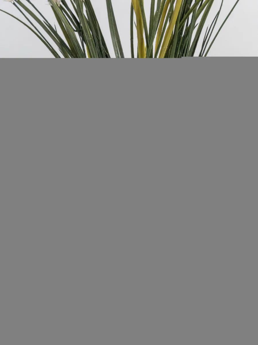 Classic Ceramic Planter — 6" Dia × 5.5" Height — Primary View