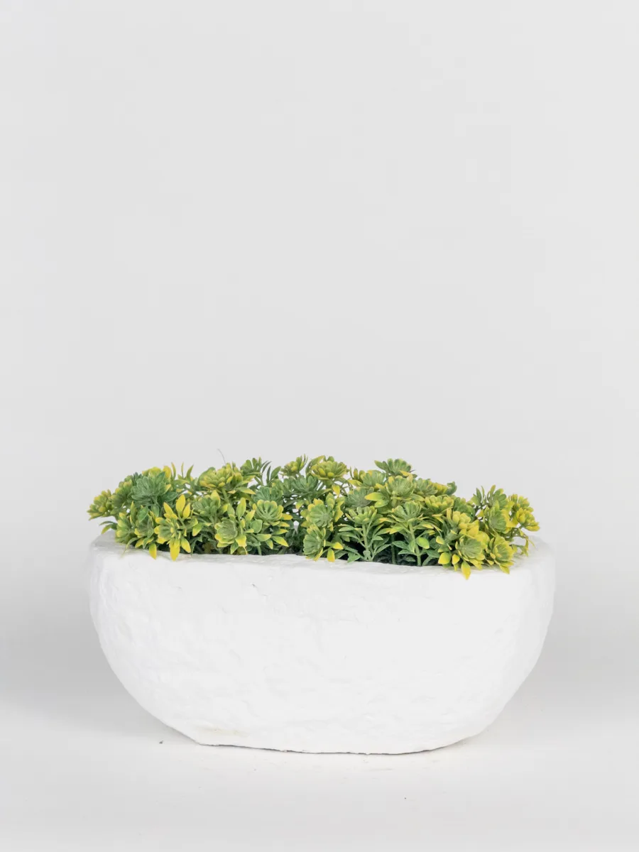 Classic Ceramic Planter — 7" Dia × 7" Height — Primary View
