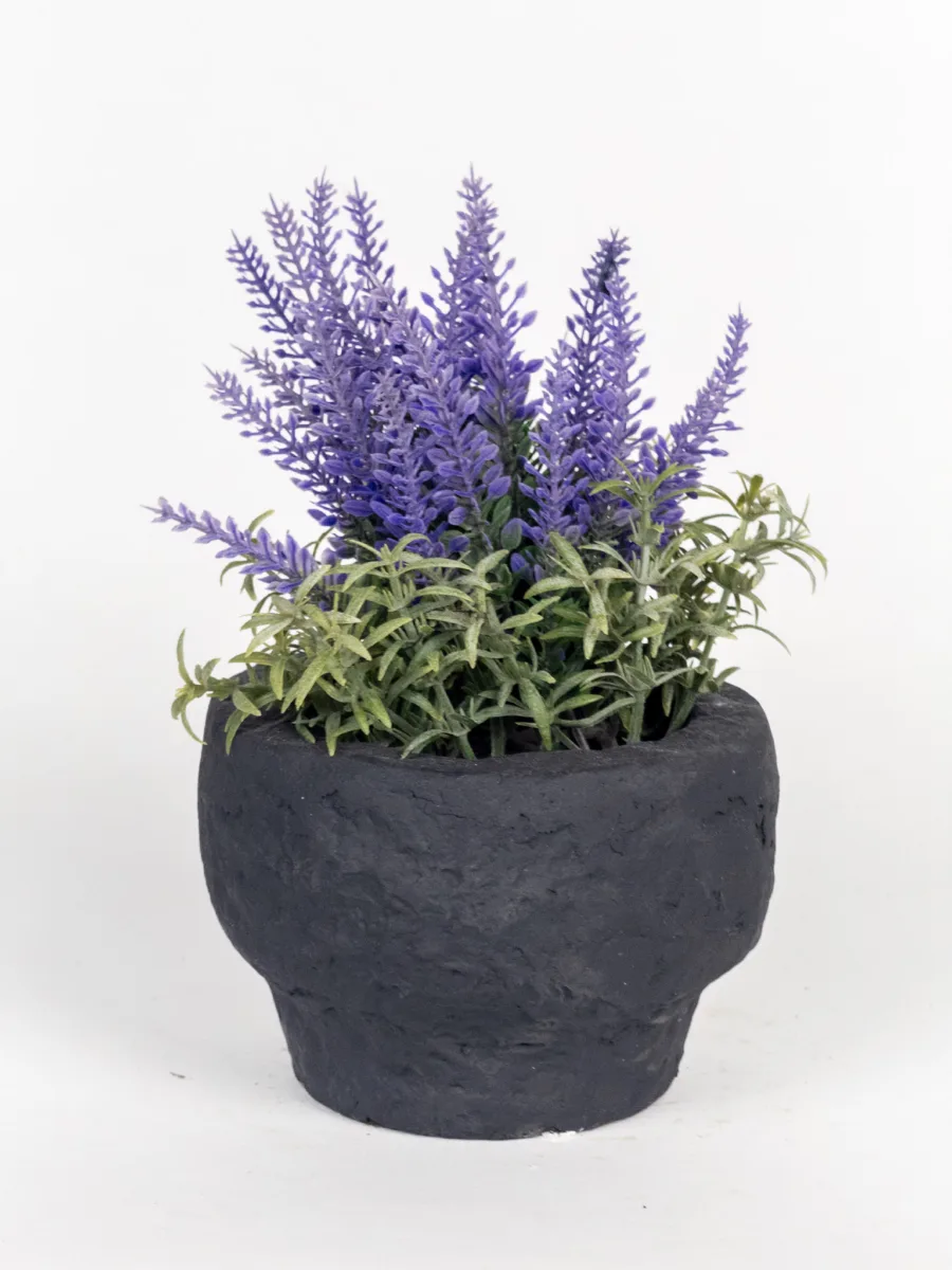 Classic Ceramic Planter — 7" Dia × 7" Height — Primary View
