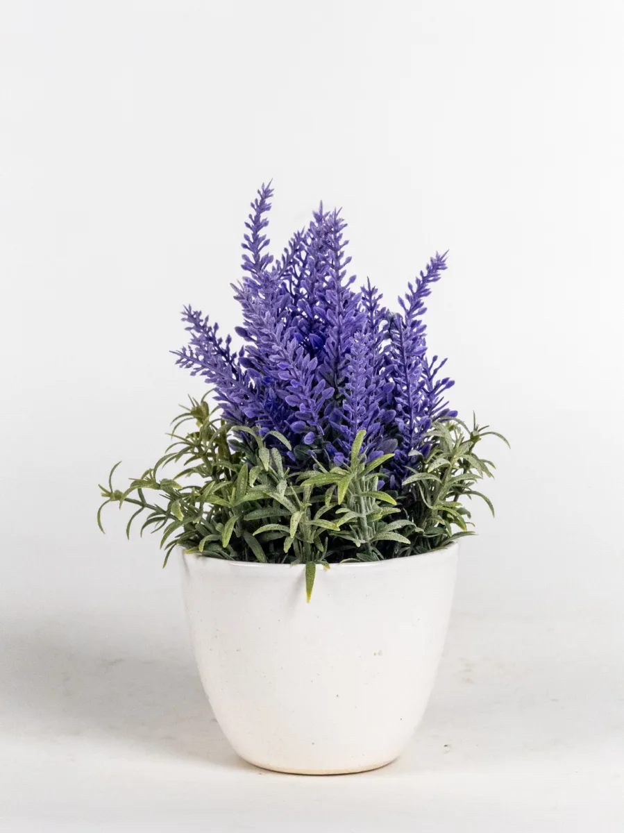 Classic Ceramic Planter — 5" Dia × 7.5" Height — Primary View