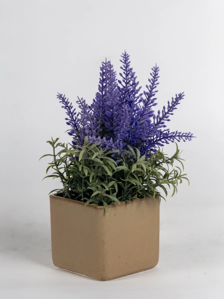 Classic Ceramic Planter — 5" Dia × 7.5" Height — Primary View