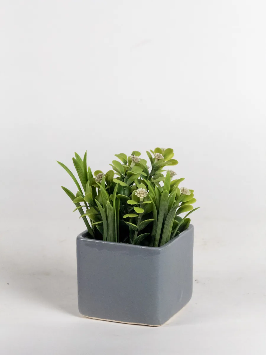 Classic Ceramic Planter — 3.5" Dia × 3" Height — Primary View