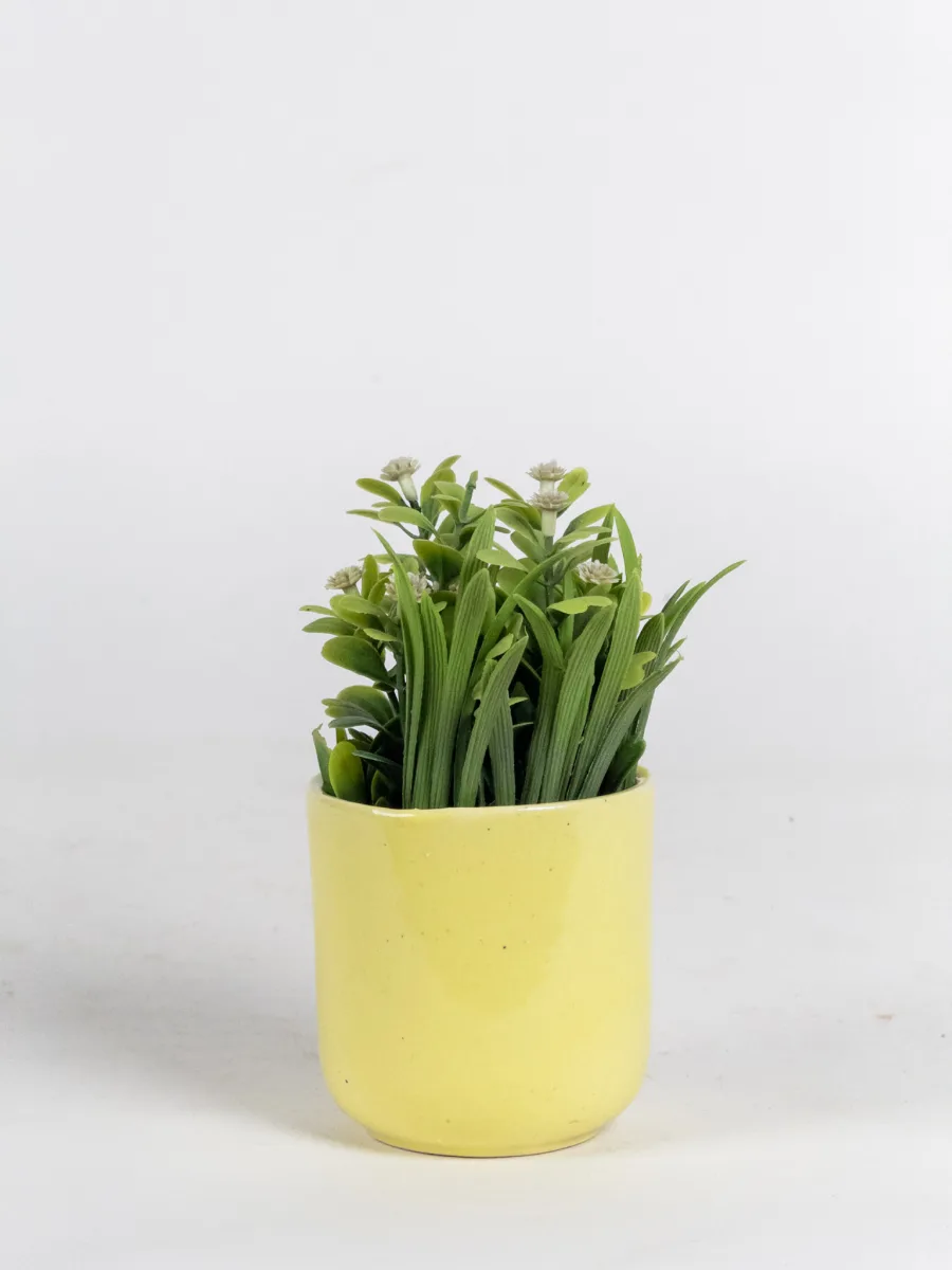 Classic Ceramic Planter — 4" Dia × 3" Height — Primary View