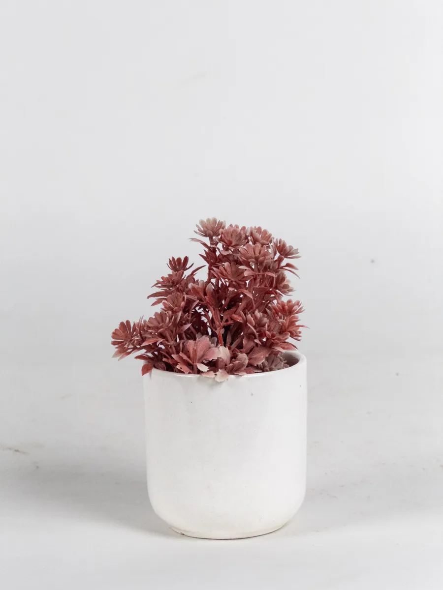 Classic Ceramic Planter — 4" Dia × 3" Height — Primary View