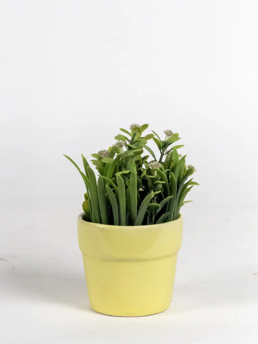 Classic Ceramic Planter — 4" Dia × 3" Height — Primary View