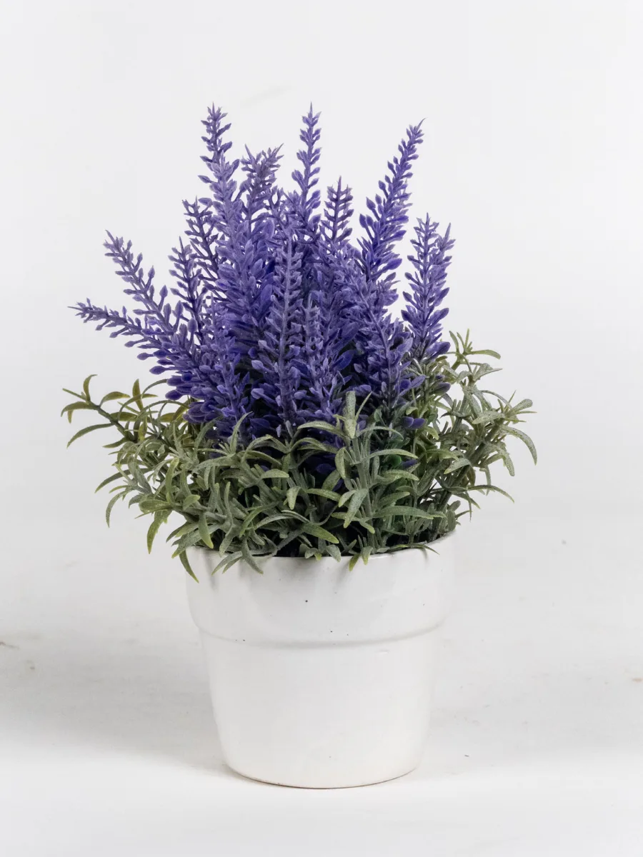 Classic Ceramic Planter — 4" Dia × 3" Height — Primary View