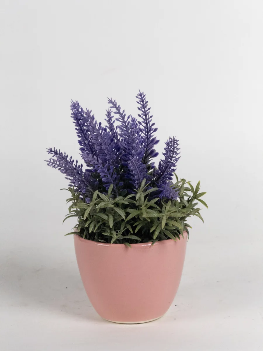 Classic Ceramic Planter — 3" Dia × 2.5" Height — Primary View