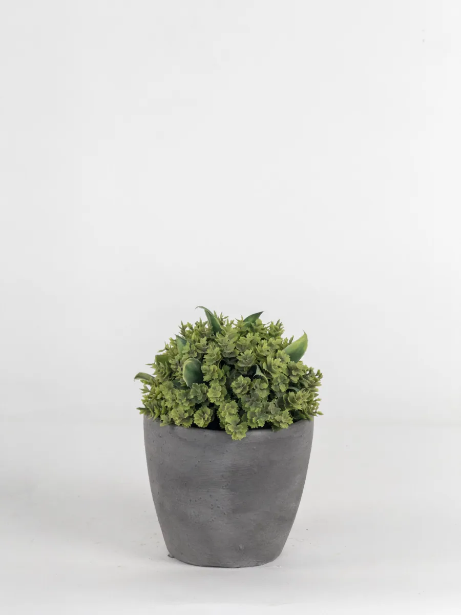 Classic Ceramic Planter — 2.5" Dia × 3" Height — Primary View