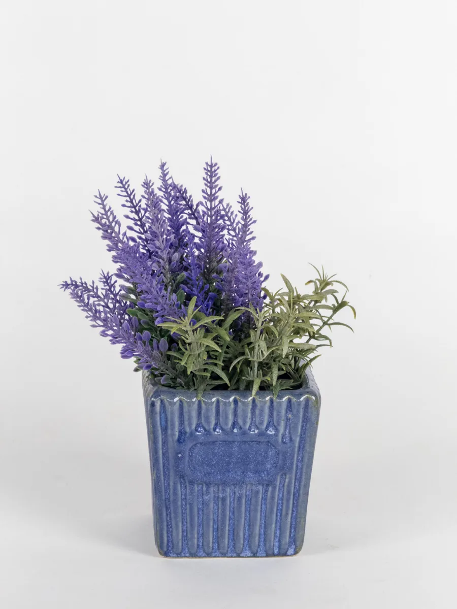 Classic Ceramic Planter — 2.5" Dia × 3" Height — Primary View
