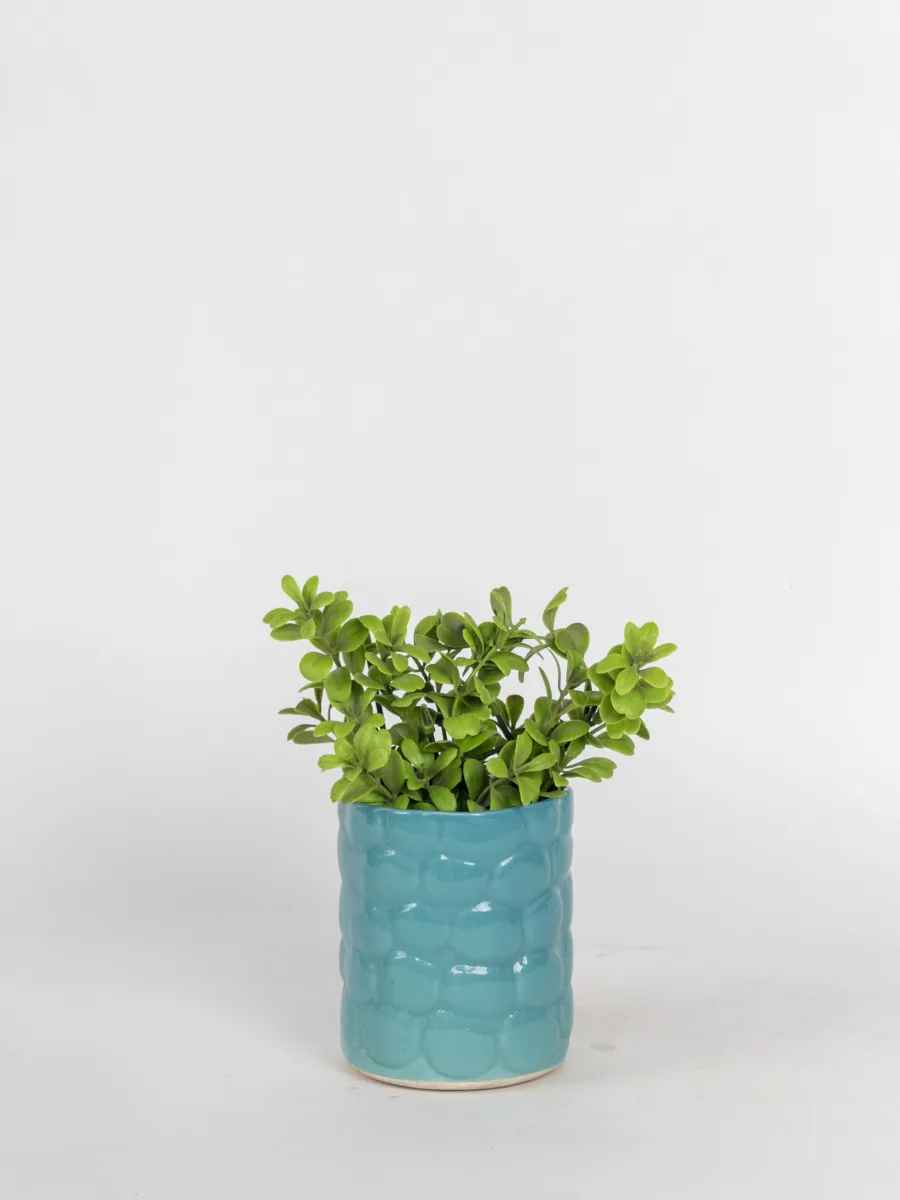 Classic Ceramic Planter — 3" Dia × 3" Height — Primary View