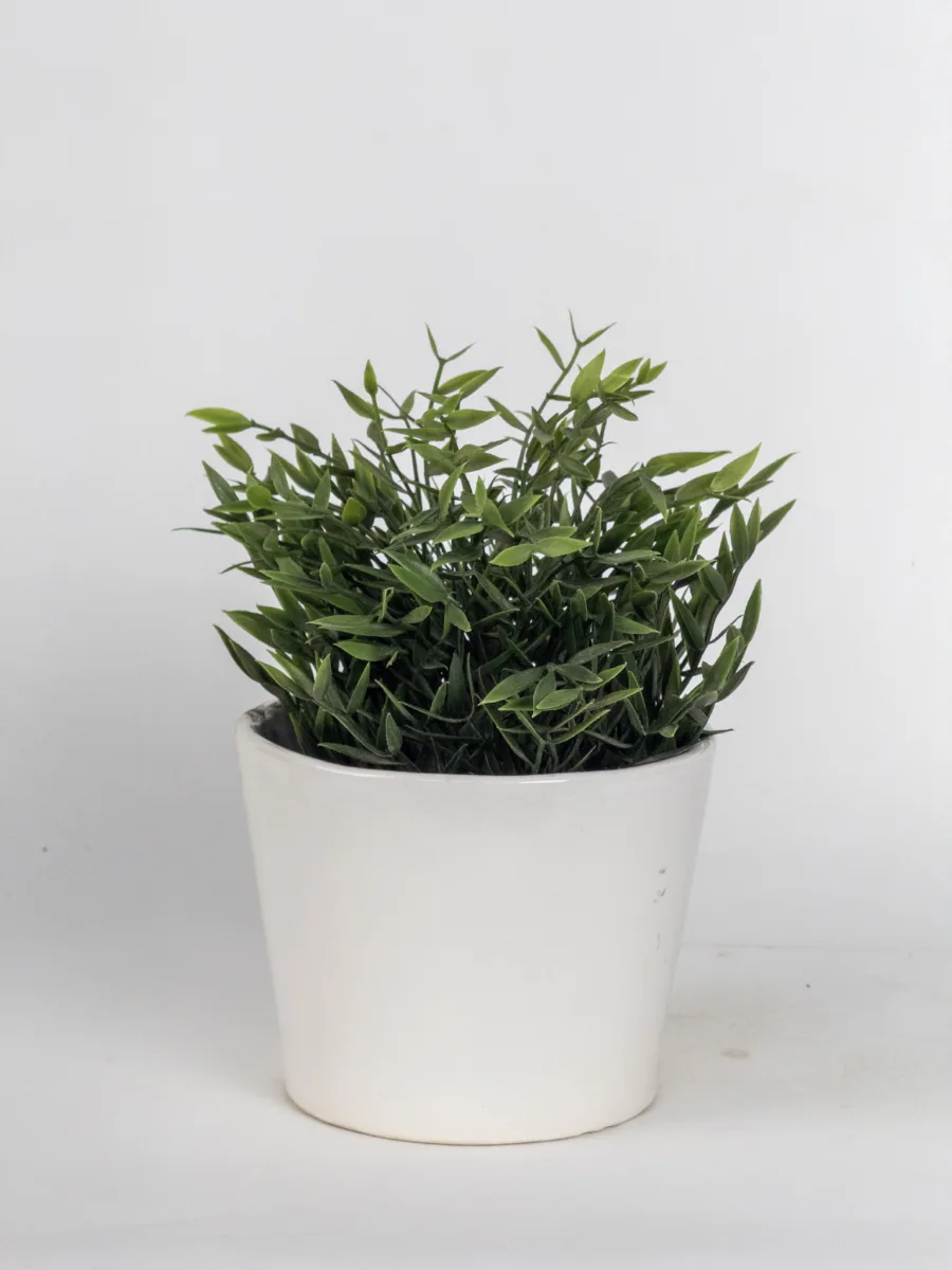 Classic Ceramic Planter — 4" Dia × 3" Height — Primary View