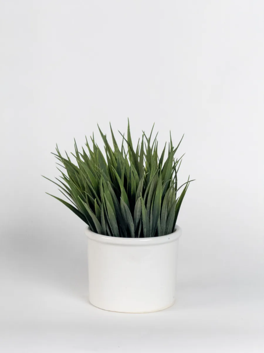 Classic Ceramic Planter — 4" Dia × 3" Height — Primary View