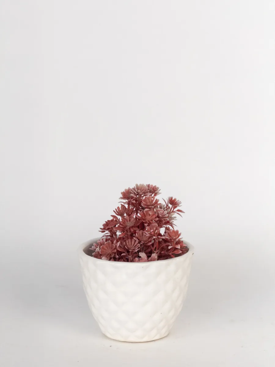 Classic Ceramic Planter — 3" Dia × 4" Height — Primary View