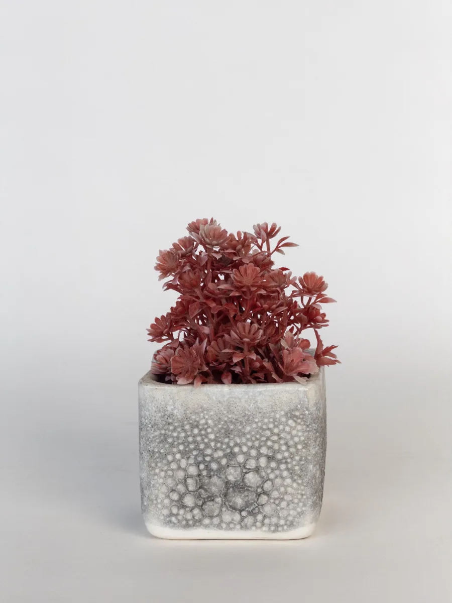 Classic Ceramic Planter — 6" Dia × 5" Height — Primary View