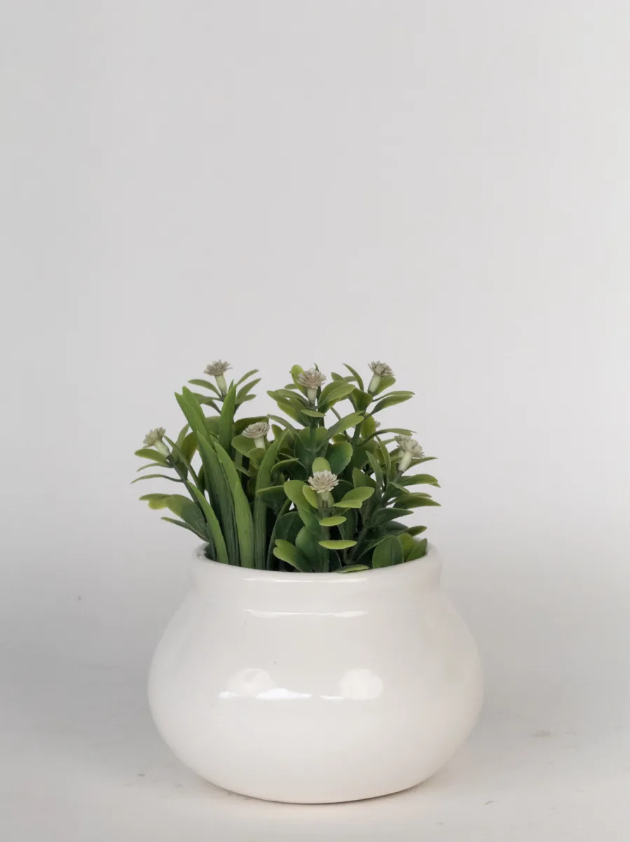 Classic Ceramic Planter — 4" Dia × 2.5" Height — Primary View
