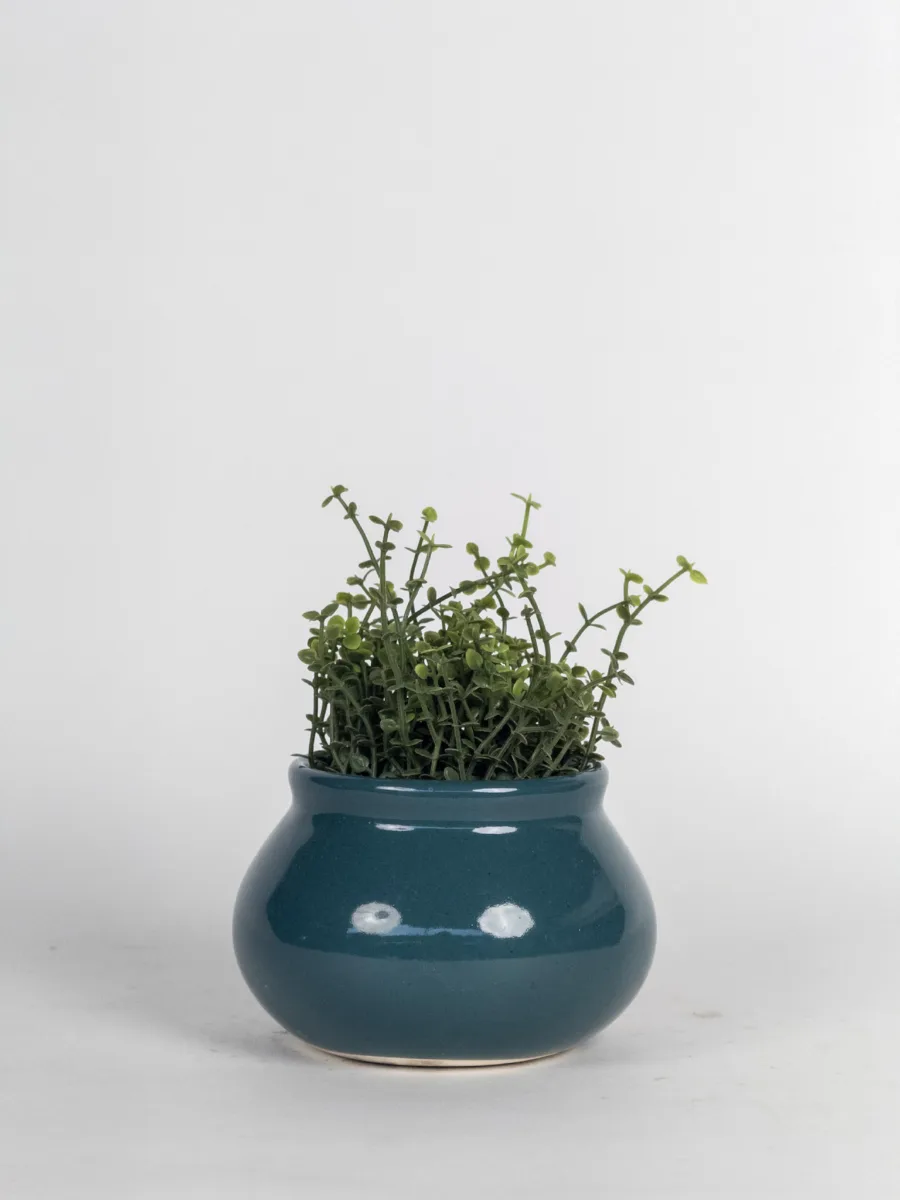 Classic Ceramic Planter — 3" Dia × 2.5" Height — Primary View