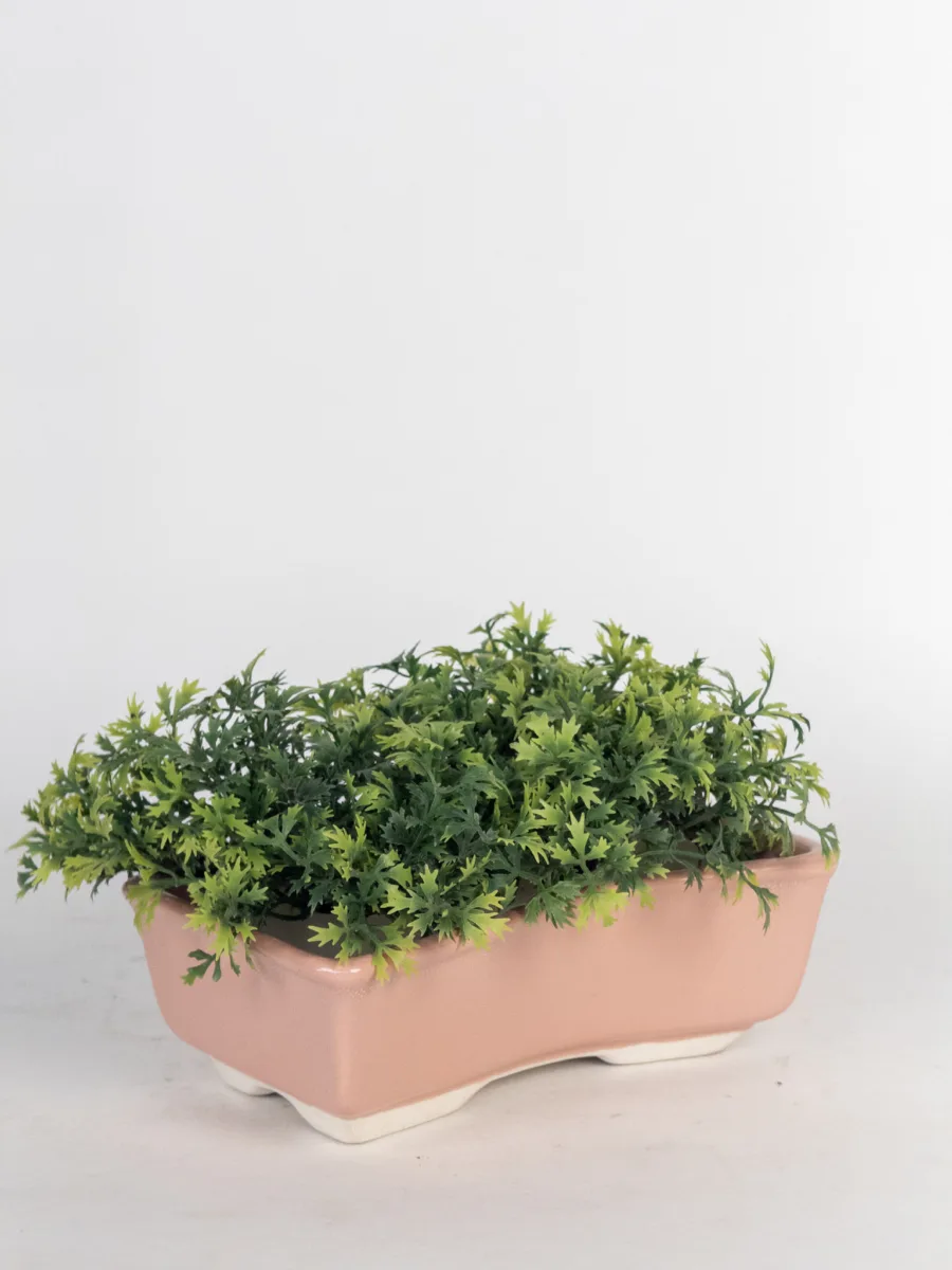 Classic Ceramic Planter — 2.5" Dia × 2" Height — Primary View
