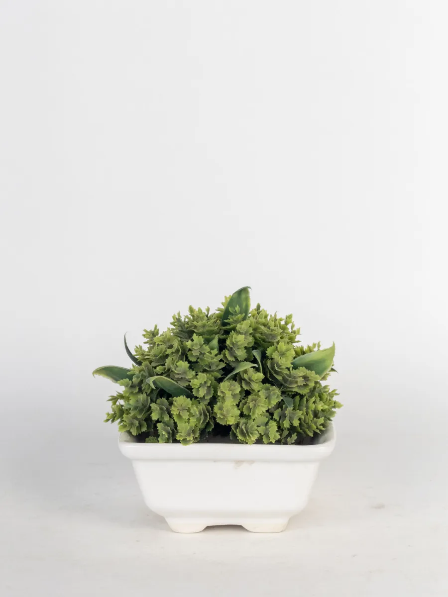 Classic Ceramic Planter — 4" Dia × 3" Height — Primary View