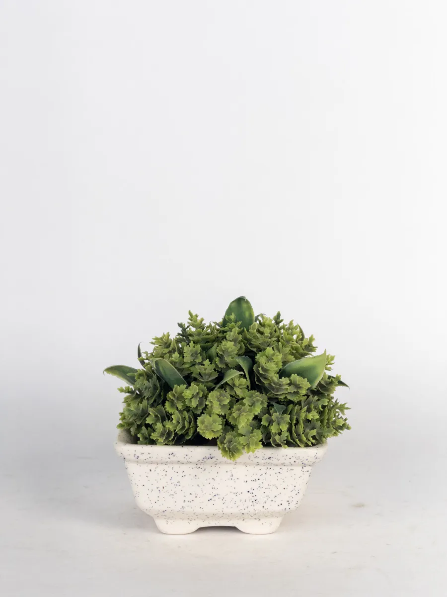 Classic Ceramic Planter — 4" Dia × 3" Height — Primary View