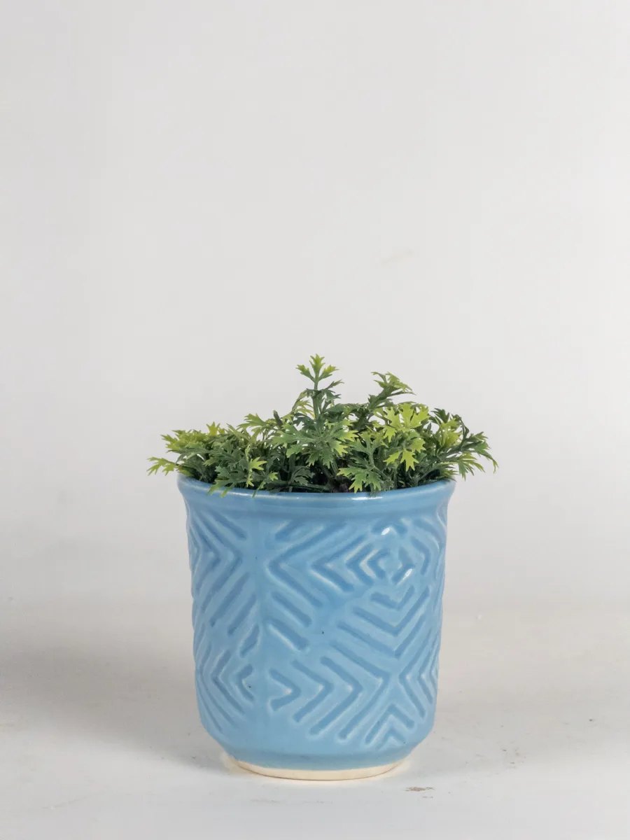 Classic Ceramic Planter — 4.5" Dia × 1.5" Height — Primary View