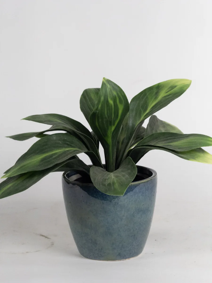Classic Ceramic Planter — 6" Dia × 5.5" Height — Primary View