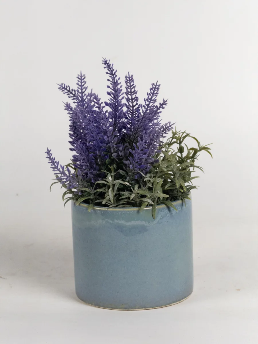 Classic Ceramic Planter — 6" Dia × 5.5" Height — Primary View