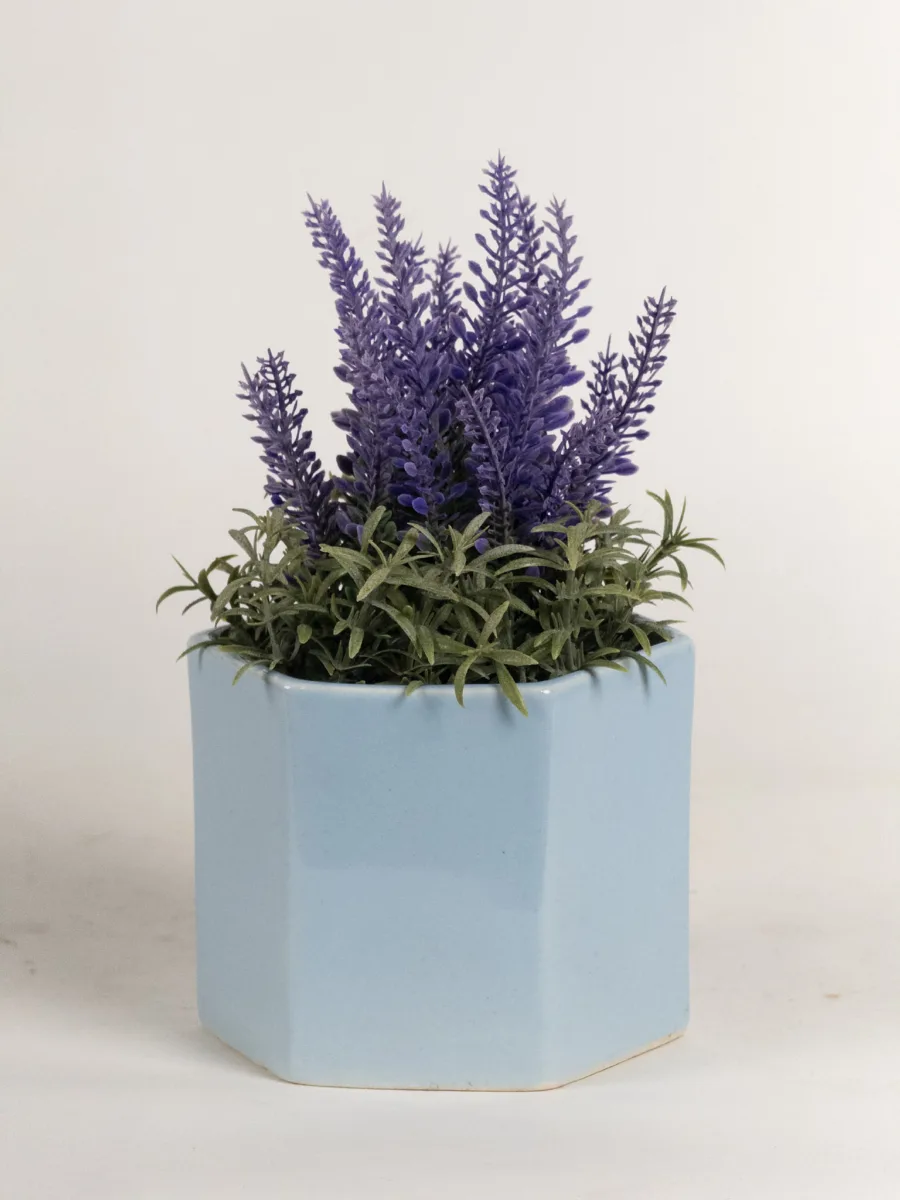 Classic Ceramic Planter — 6" Dia × 5.5" Height — Primary View