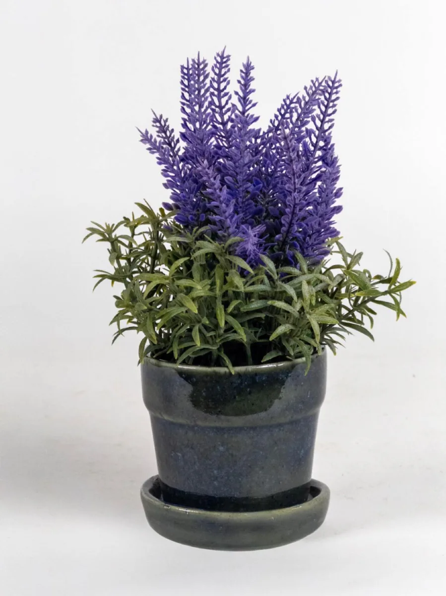 Classic Ceramic Planter — 4" Dia × 4" Height — Primary View