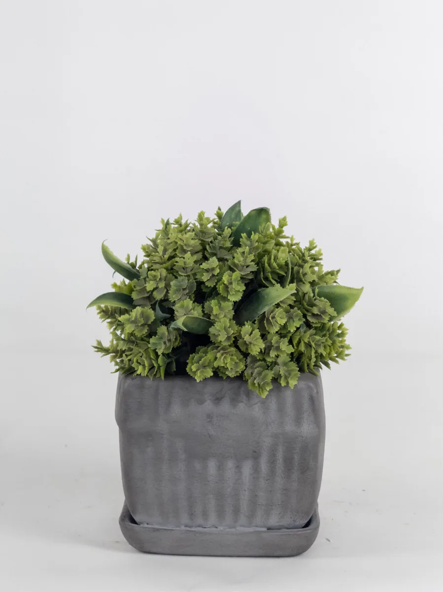 Classic Ceramic Planter — 5" Dia × 4" Height — Primary View